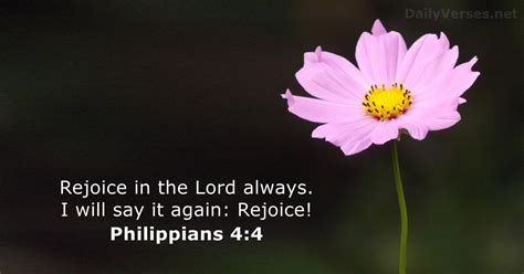 Philippians 4 WEB;NIV .